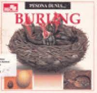 Burung
