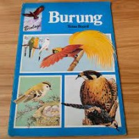 Image of Burung