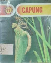 Capung