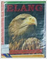 Image of Elang