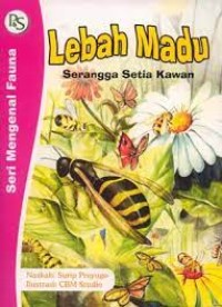 Lebah madu