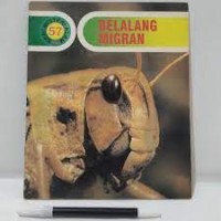 Belalang migran