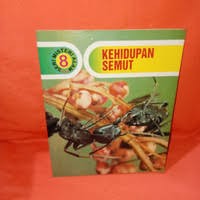 Kehidupan semut