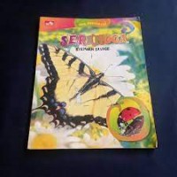 Serangga