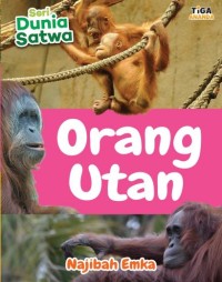 Image of Orang utan