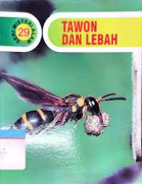 Tawon dan lebah