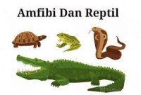 Amphibia dan reptilia