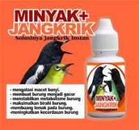 Image of Jangkrik minyak