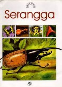 Serangga