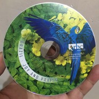 Brazil : Joy And Praise