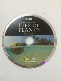 The Private Life of Plants : Travelling