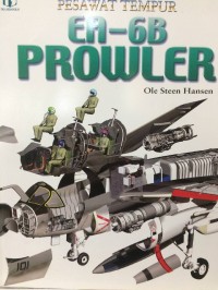 EA - 6B Prowler