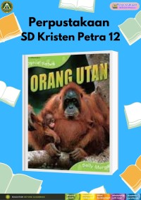Dunia Satwa : Orang Utan