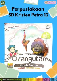 Seri Hewan Ter : Orangutan Mamalia Terpintar