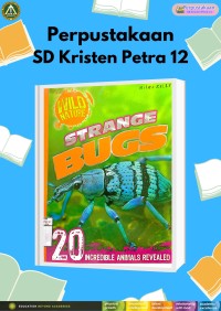 Wild Nature: Strange Bugs