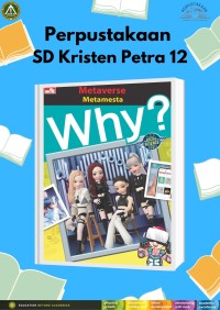 Why? Metaverse (Metamesta)