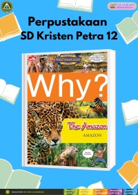 Why? The Amazon (Amazon)