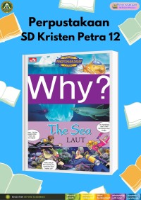 Why? The Sea (Laut)