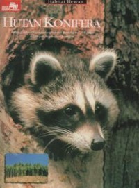 Image of Hutan Konifera