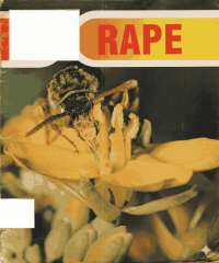 Image of Rape