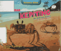 Image of Kepiting