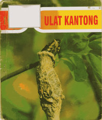 Image of Ulat Kantong