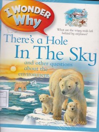 I WONDER WHY ' There's a Hole In The Sky '