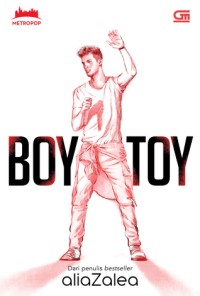 Boy toy