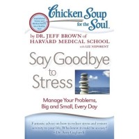 Chicken Soup for the Soul : Say Goodbye to Stress