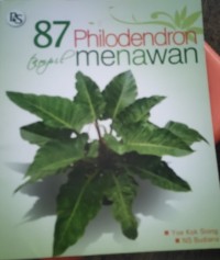 87 Philodendron Tampil Menawan
