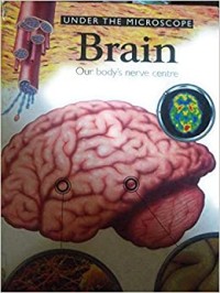 Brain: Our Body's Nerve Center