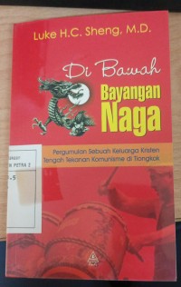 Di Bawah Bayangan Naga