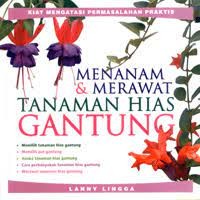 Menanam & Merawat Tanaman Hias Gantung