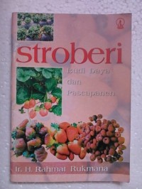 Stroberi
