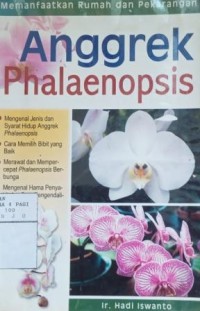 Anggrek Phalaenopsis