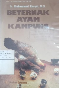 Beternak Ayam Kampung