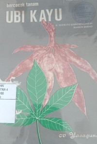 Bercocok Tanam Ubi Kayu