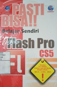 Flash Pro