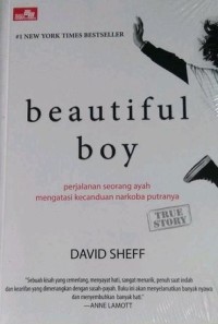 Image of Beautiful boy: perjalanan seorang ayah mengatasi kecanduan narkoba putranya