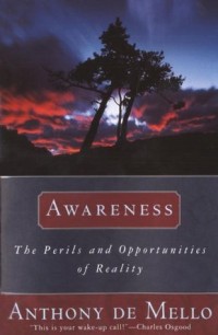 Image of Awareness : The Perils and Opportunities of Reality