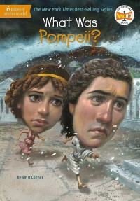 Image of What was Pompeii ?