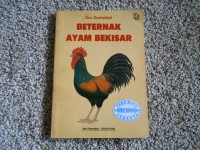Beternak ayam bekisar