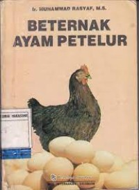 Beternak ayam petelur