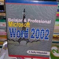 Belajar dan profesional microsoft excel 2002