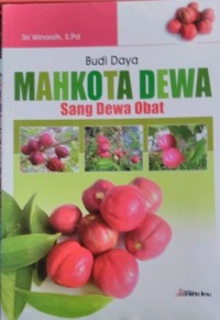 Budidaya Mahkota Dewa Sang Dewa Obat