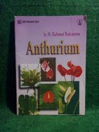 Anthurium