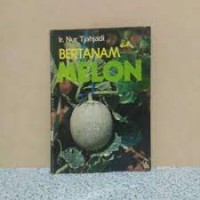 Bertanam Melon