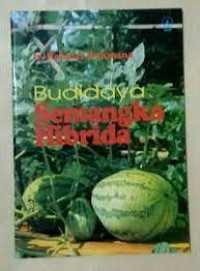 Budidaya Semangka Hibrida