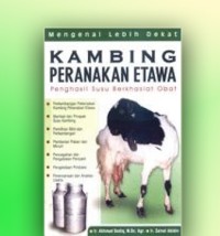 Kambing Peranakan Etawa