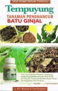 Tempuyung Tanaman Penghancur Batu Ginjal